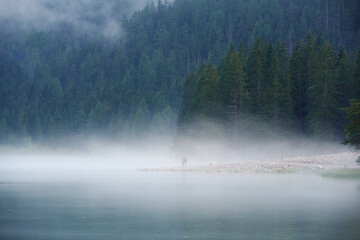 Fog on Lake Dobbiaco - Dolomites, Italy