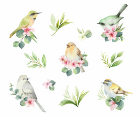 Watercolor set of birds with flowers.