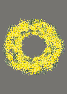 Aoirokaeru 写真 画像 アセット Adobe Stock