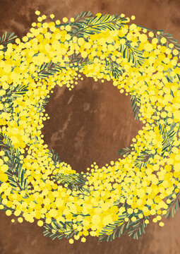 Aoirokaeru Photos Images Assets Adobe Stock