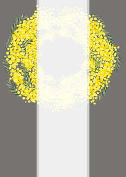 Aoirokaeru 写真 画像 アセット Adobe Stock