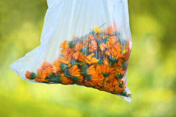 Bag with flowers of calendula, velvet close-up