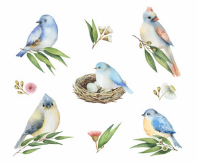 Watercolor set of birds with flowers.