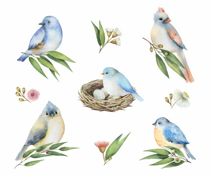 Watercolor set of birds with flowers.