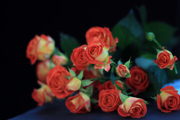 Bouquet of roses on a dark background 