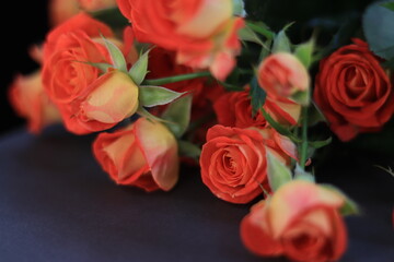 Bouquet of pink spray roses