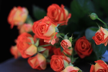 Bouquet of pink spray roses