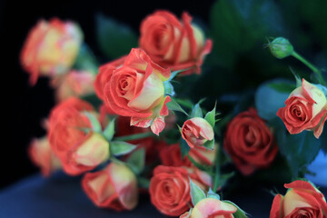 Bouquet of pink spray roses