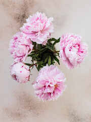 A bouquet of peonies in a white jug stands on the table, 8 March, Mothers Day holidays greetings concept, closeup, soft selective focus