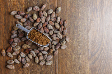 Fototapeta na wymiar Cocoa powder and cocoa bean on wooden table