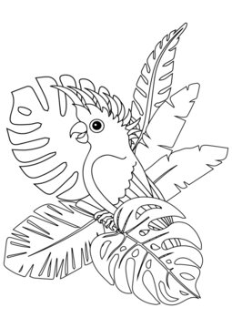 Vector illustration. Coloring page with parrot bird and exotic palm leaves. Coloring book page printable template a4 for children and adult	

