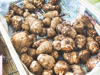 日本の鎌倉の朝市で売られている新鮮野菜