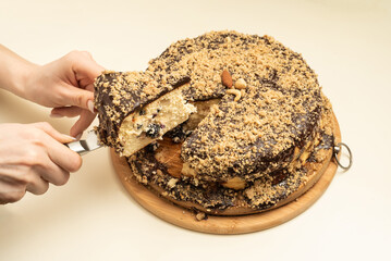 Girl hands cuts piece of freshly homemade chocolate cake (pie) with nuts and cheese