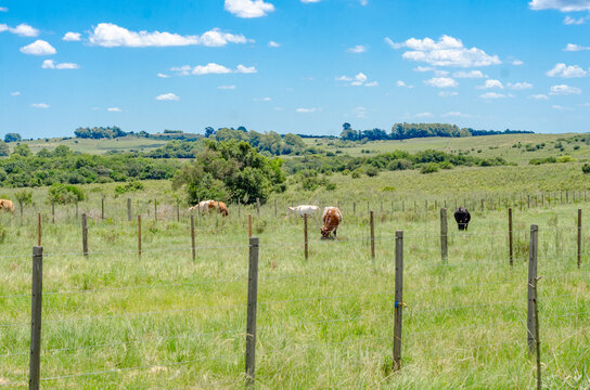 paisagem rio grande do sul