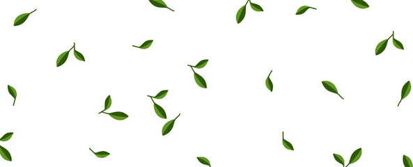 green leaves background pattern 