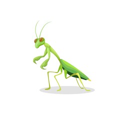 praying mantis animal figure character cartoon illustration vector - obrazy, fototapety, plakaty