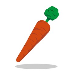 carrot vegetable healthy food vector design