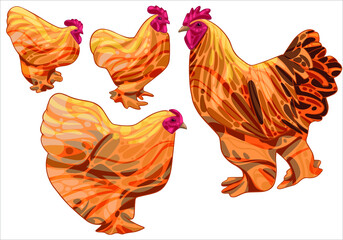The set of hand-drawn chickens. The breed of buff cochin