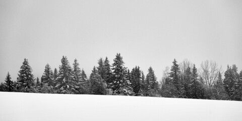 Naklejka premium Winter forest by Olterudelva River, Toten, Norway.