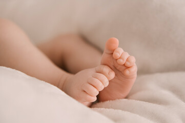 Small legs of a newborn girl on a light background