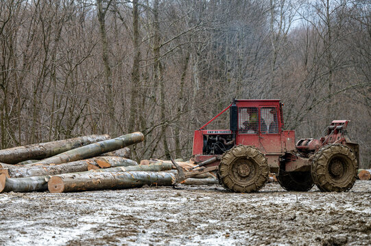 Skidder LKT 81 TURBO pushing the logs in a wood storage in te forest. Bieszczady Mountains, Carpathians, Poland.