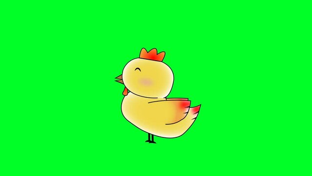 Cartoon Chicken Animation with Green Screen