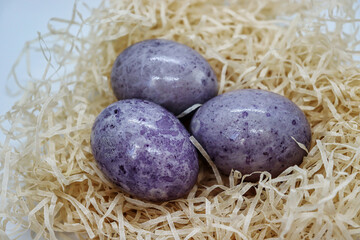 Fototapeta na wymiar Beautiful Easter eggs in the nest