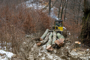 Skidder in the forest. Professional logging tractor. The Carpathian Mountains Poland.