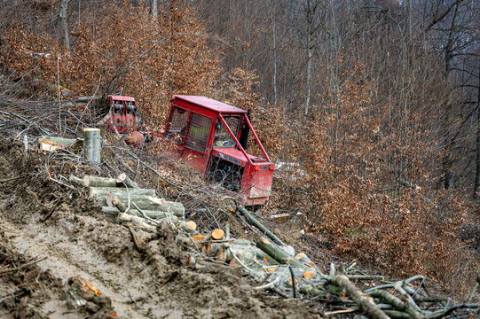 Skidder LKT 81 TURBO in the forest. Professional logging tractor. The Carpathian Mountains Poland.