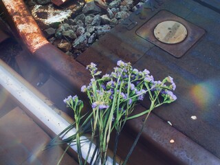 線路に置かれた花束