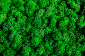 Green painted moss yagel for interior decoration