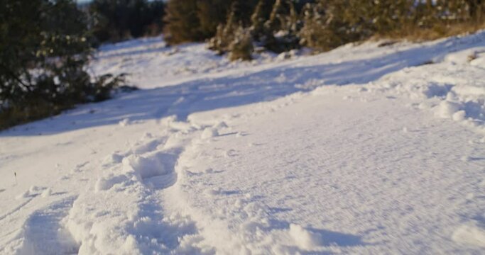 Low angle shot of walking on a snowy ground. Camera moves fluently over the ground. Sidelight from the sun creating long shadows.