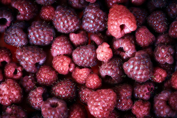Raspberries close up. Sweet raspberry. Raspberry texture background. Top view of heap of raspberry pattern.