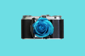 Old black vintage retro photo camera with a blue rose instead of a lens isolated on a color light blue background. Trendy collage in magazine style. Contemporary art. Modern design