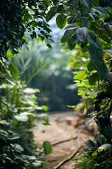 Exotic trees and plants under a roof in a greenhouse. Maintaining the climate for thermophilic plants in the botanical garden. Beautiful spring background.