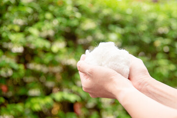 Hands holding polyester staple fiber with blur green grass background