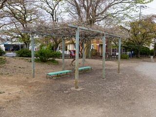 Fototapeta premium あそび