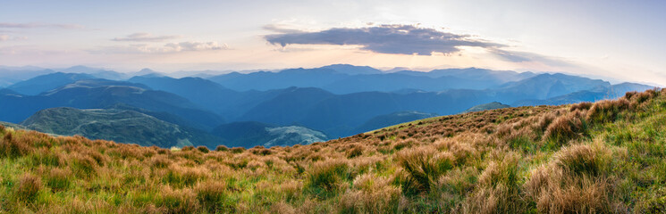 Naklejka premium Beautiful evening with sun light. Beautiful summer landscape in the mountains.