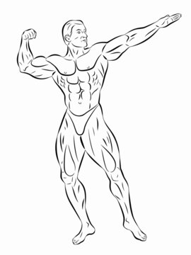 illustration of bodybuilder , vector drawing