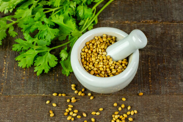 Coriander seeds on white mortar and pestle with green leaf on rustic wooden background, top view. Coriander seeds are a food ingredient and medicinal herbs.