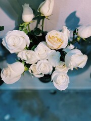 Processed with VSCO with c1 preset