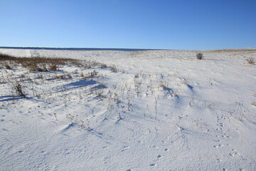 Fototapeta na wymiar Snow field under blue sky, footprints in the snow