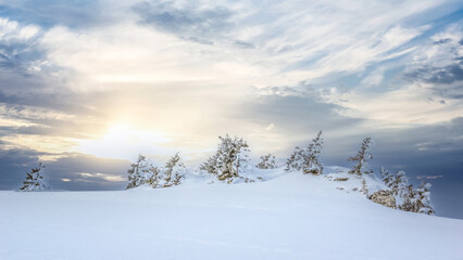 Beautiful sunset landscape with mountain pines in the foreground in wintertime