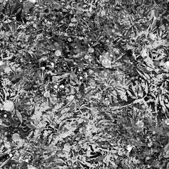 Seamless vintage pattern, blue flowers,Plant in watercolor. Mimosa, acacia and other plants on a branch. Blossoming acacia or caragana tree. Fashionable background. Abstract splash of paint. 