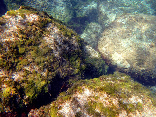 fondale marino acqugrandi di Acireale 332