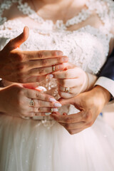 Sunny photo of the newlyweds holding hands 3912.