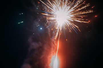 Fireworks lights in the night sky 4007.
