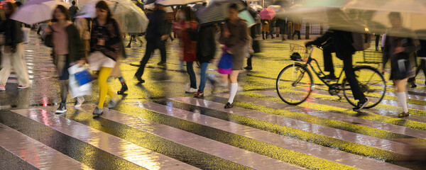 Young people crossing wet street with neon light reflection, Tokyo,...