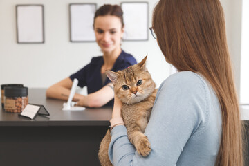 Young woman with cat at the reception in vet clinic. Animal health care concept