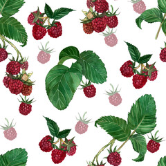 Seamless pattern with raspberry berry and green leaves hand-painted in watercolor on a white background.